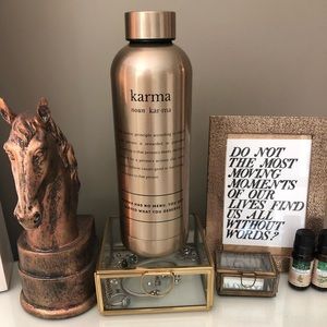 NWOT⚜️Gold/Bronze Stainless Steel Water Bottle